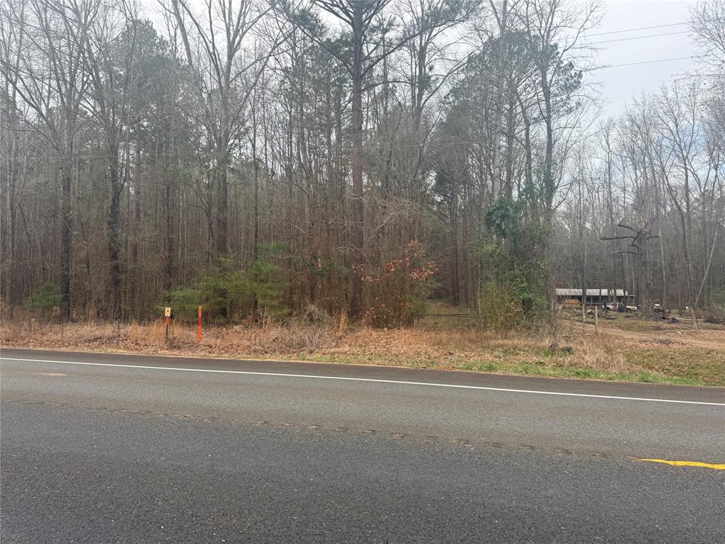0 Highway 3 Plain Dealing, LA 71064 - Photo 29 of 32 a view of a yard with large trees