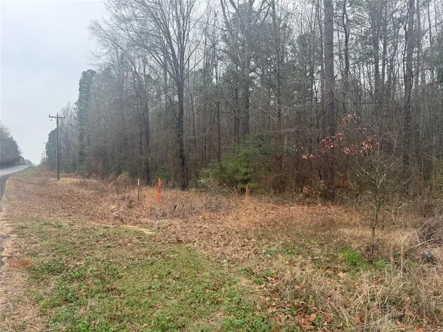 a view of a yard from a window