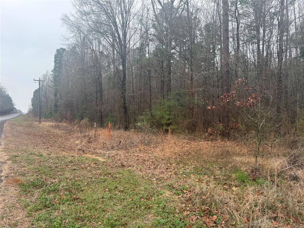 0 Highway 3 Plain Dealing, LA 71064 - Photo 30 of 32 a view of a yard