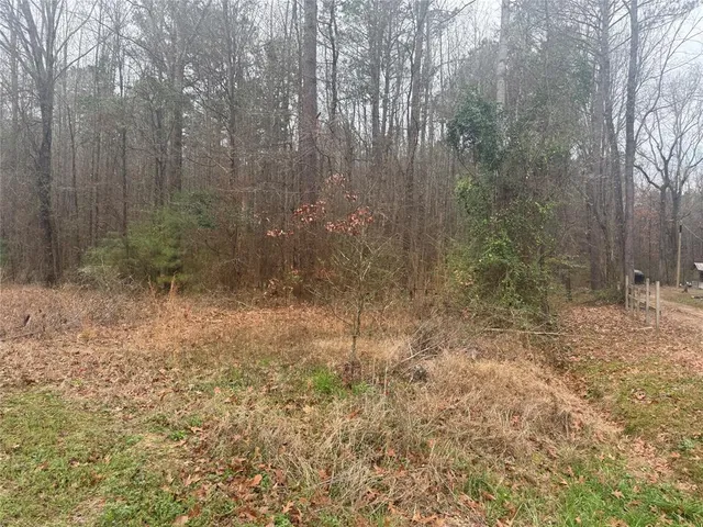 $69,900 | 0 Highway 3, Plain Dealing, LA 71064