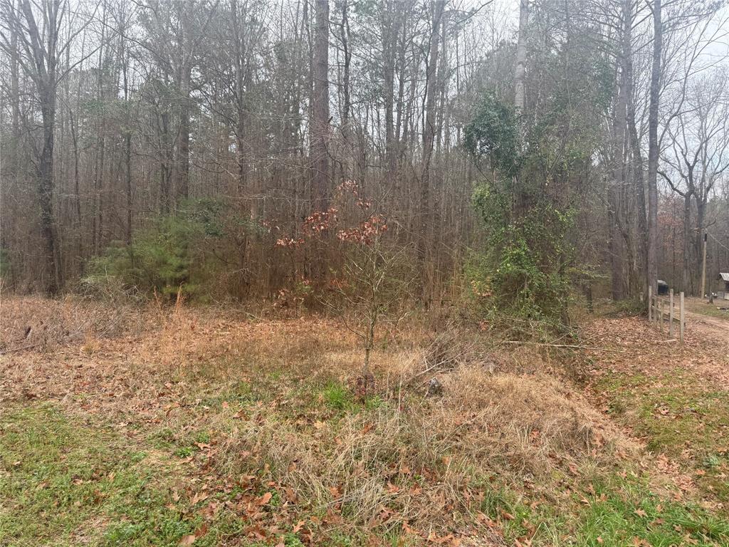 0 Highway 3 Plain Dealing, LA 71064 - Photo 31 of 32 a view of a dry yard with trees
