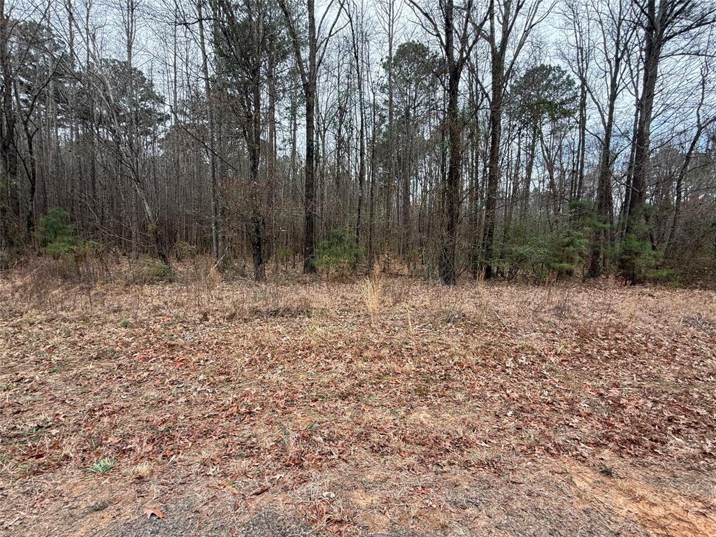 0 Highway 3 Plain Dealing, LA 71064 - Photo 4 of 32 a backyard of a house with lots of green space