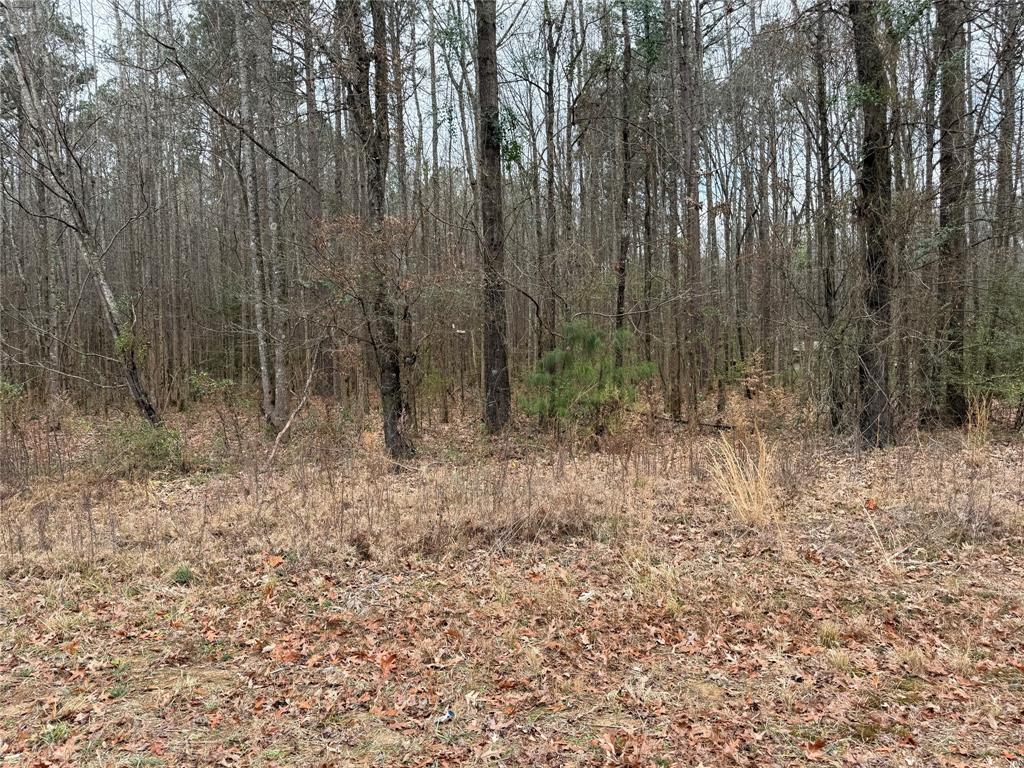 0 Highway 3 Plain Dealing, LA 71064 - Photo 6 of 32 a view of small space with trees