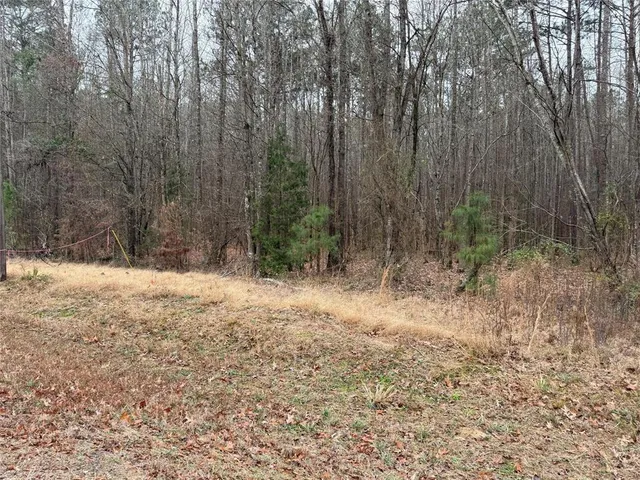 a view of backyard with trees