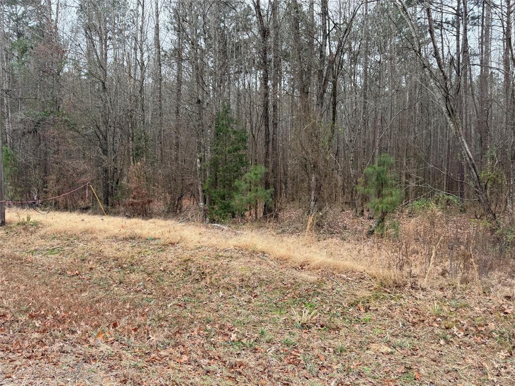 0 Highway 3 Plain Dealing, LA 71064 - Photo 7 of 32 a view of backyard with trees