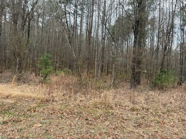 a view of a yard with large trees