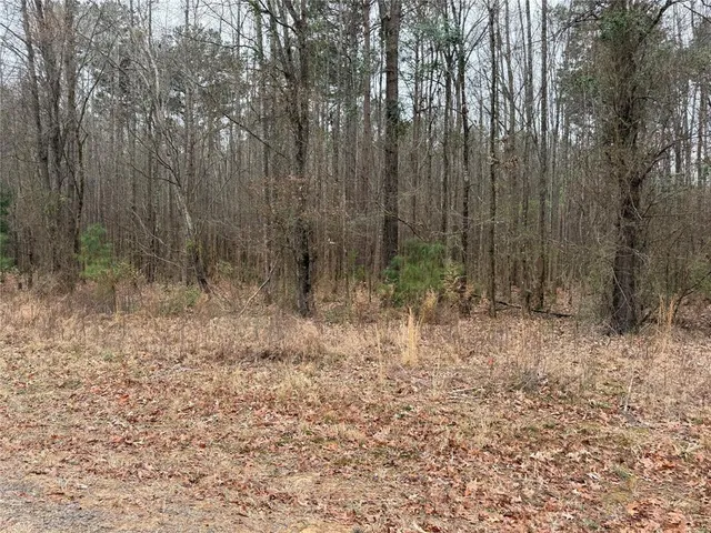 a view of a yard with trees