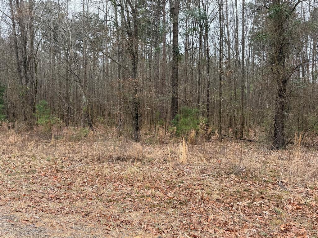 0 Highway 3 Plain Dealing, LA 71064 - Photo 10 of 32