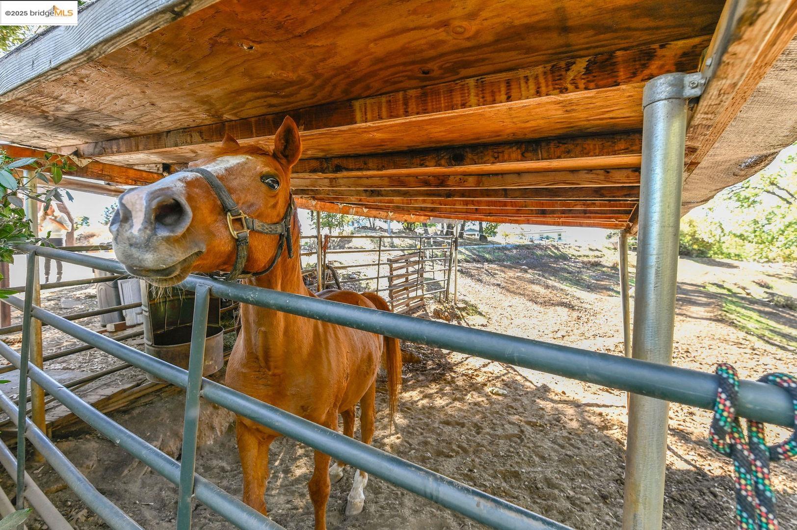 3770 Sheep Ranch Road Murphys, CA 95247 - Photo 2 of 60 a view of a balcony