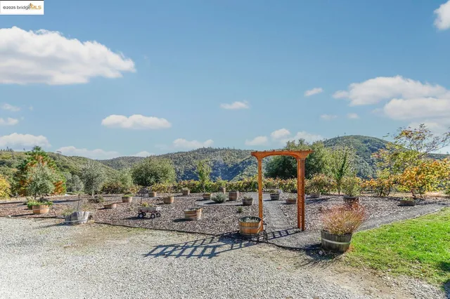 a outdoor space with patio the couches and a potted plant