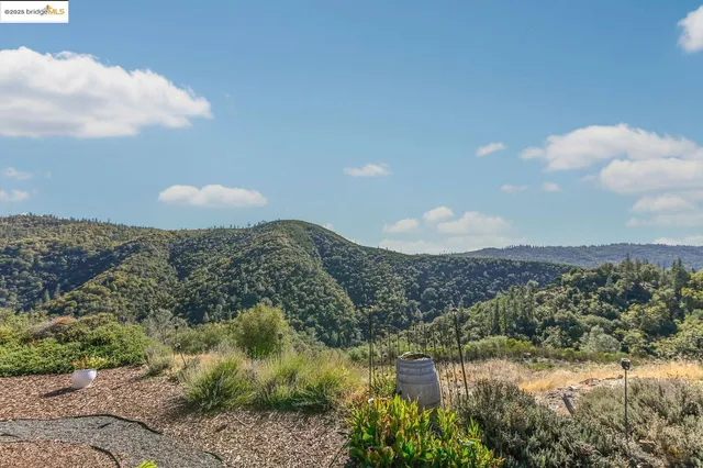 a view of a backyard