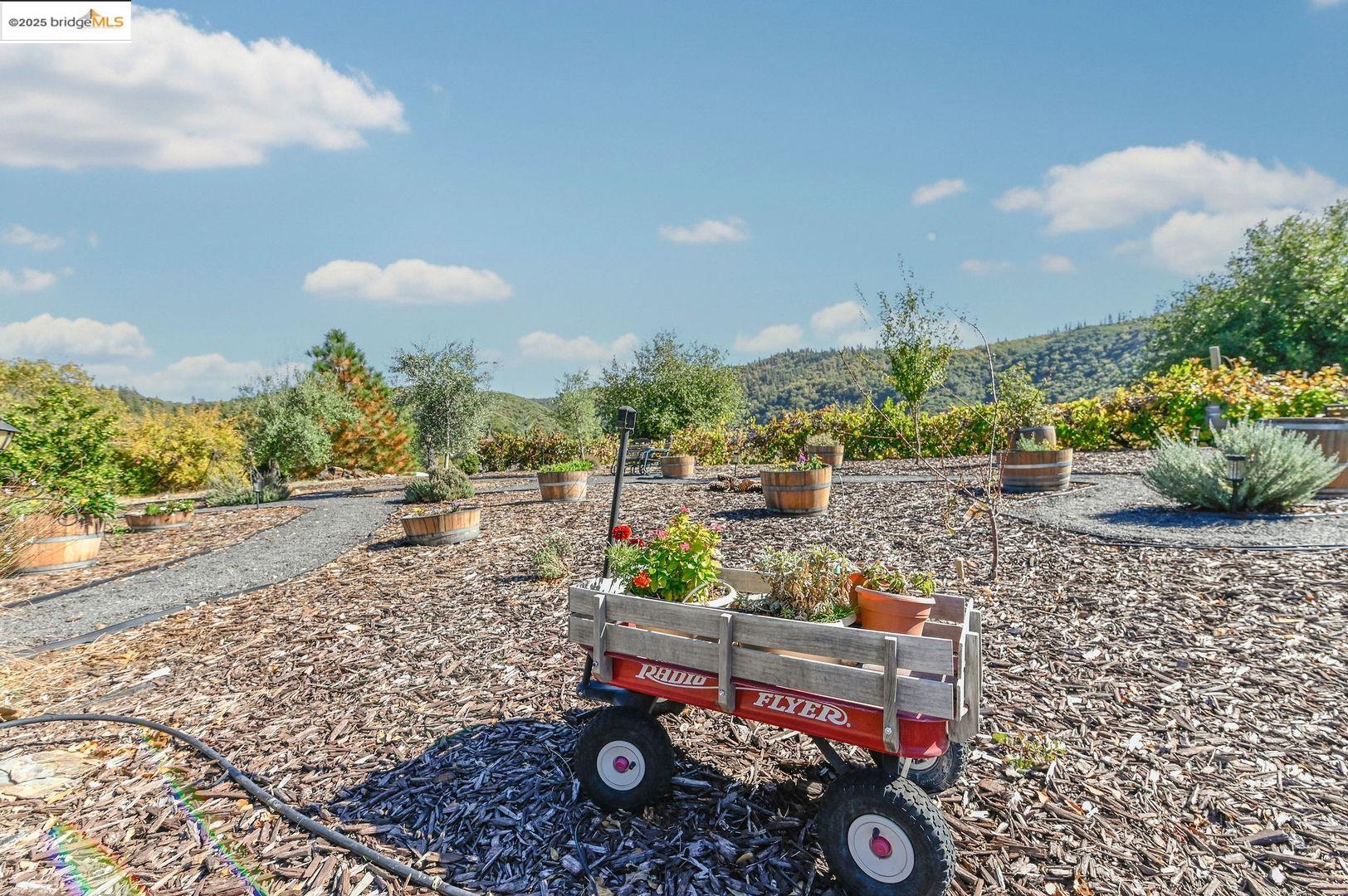3770 Sheep Ranch Road Murphys, CA 95247 - Photo 48 of 60 a view of a backyard