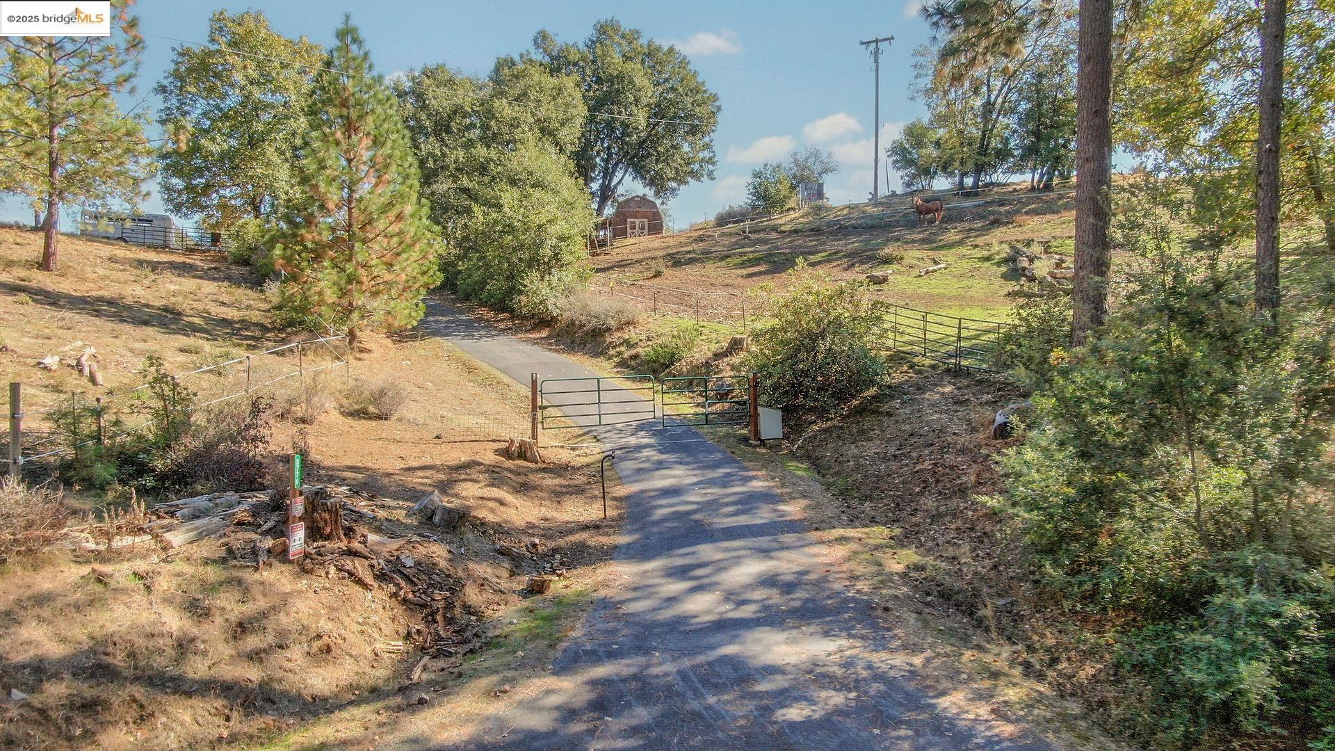 3770 Sheep Ranch Road Murphys, CA 95247 - Photo 55 of 60 a view of back yard of the house