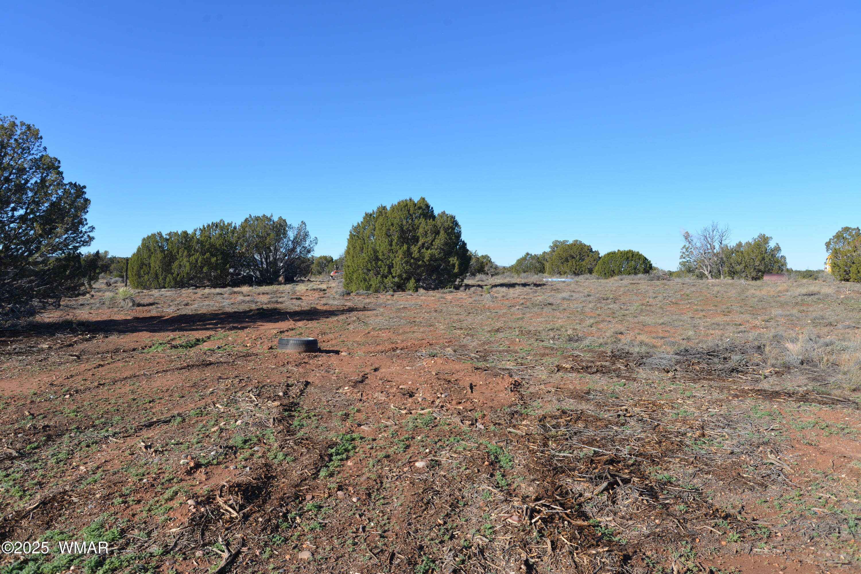 3736 Bum Heel Ranch Road Heber, AZ 85928 - Photo 2 of 46