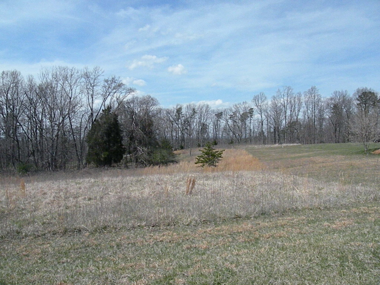 Lot 113 High Point Road Moneta, VA 24121 - Photo 1 of 7 DSCN6318