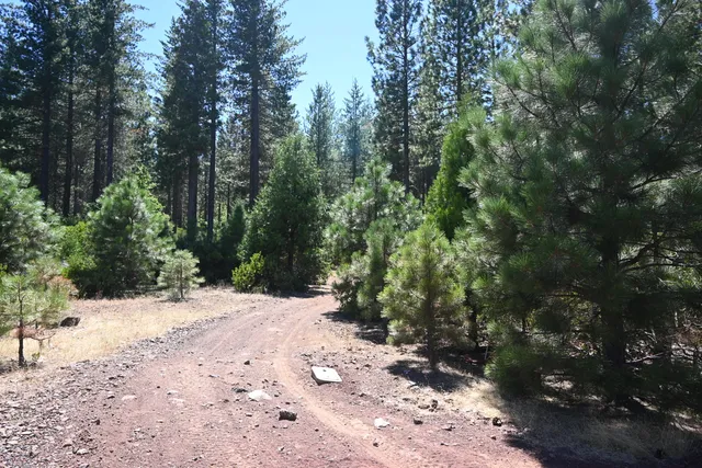 a view of a road with trees in the background