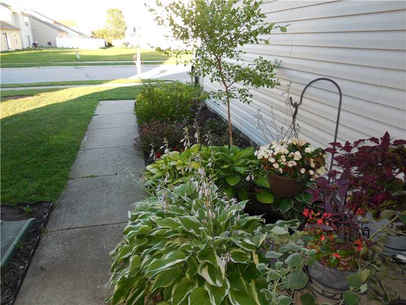 574 Springtree Lane Avon, IN 46123 - Photo 4 of 22 Gallery Image 4