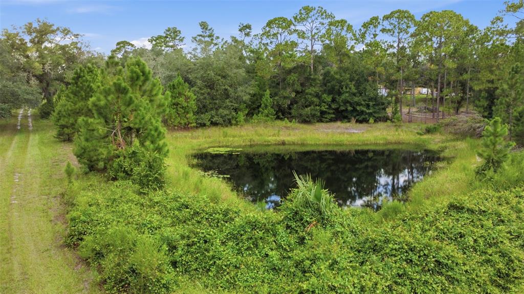 39913 Swift Road Eustis, FL 32736 - Photo 8 of 43 Gallery Image 8