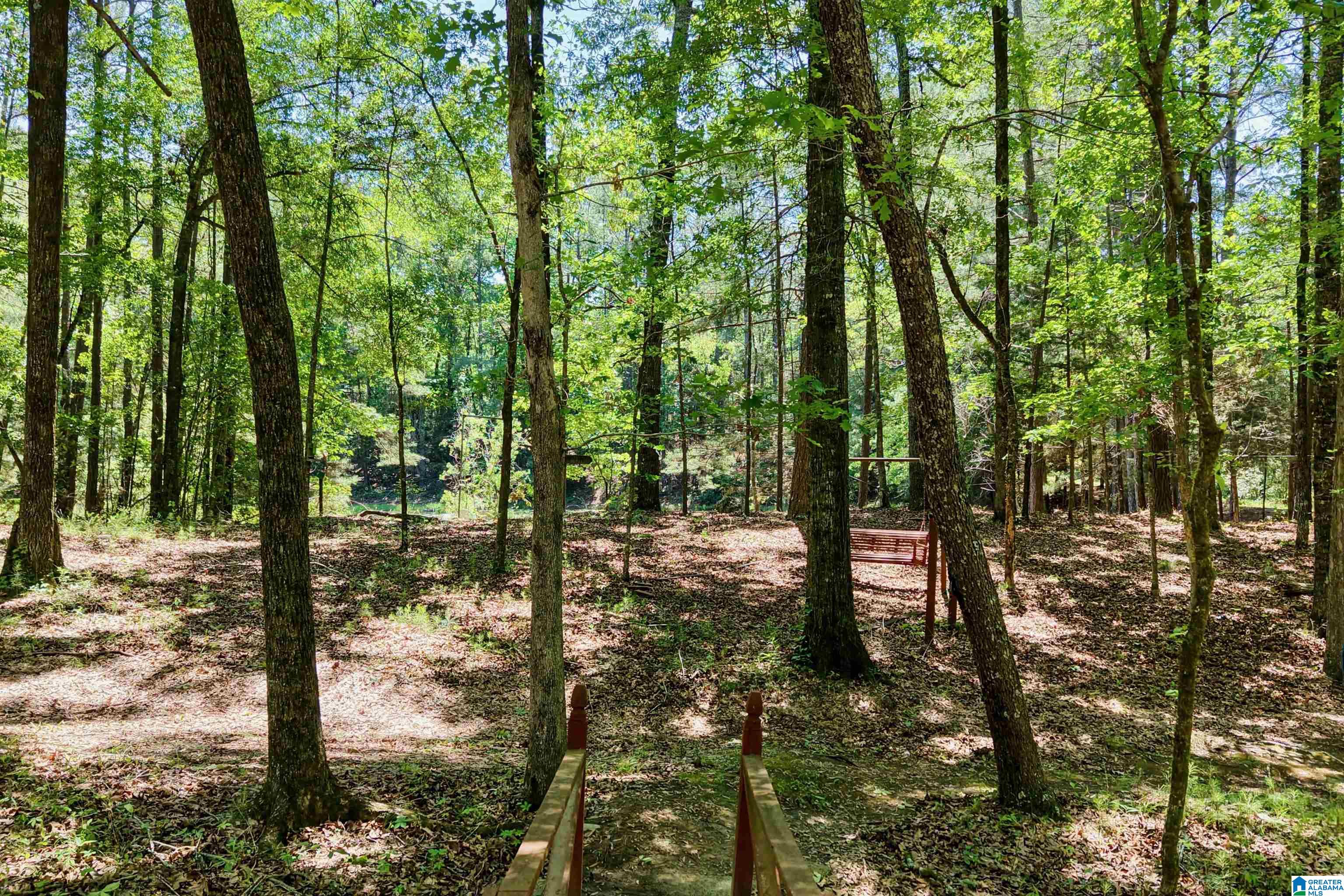 360 Cornelia Road Brierfield, AL 35035 - Photo 58 of 67