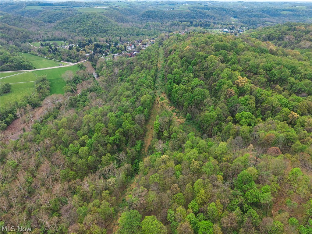0 Bealls Ridge Wellsburg, WV 26070 - Photo 17 of 46