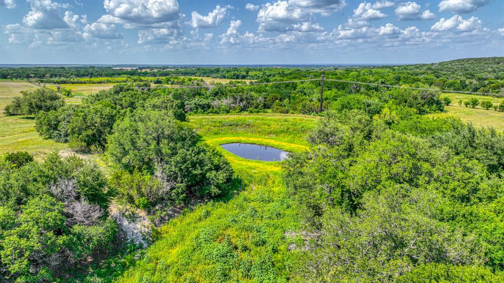 8601 Star Hollow Road Lipan, TX 76462 - Photo 32 of 40 a view of a yard