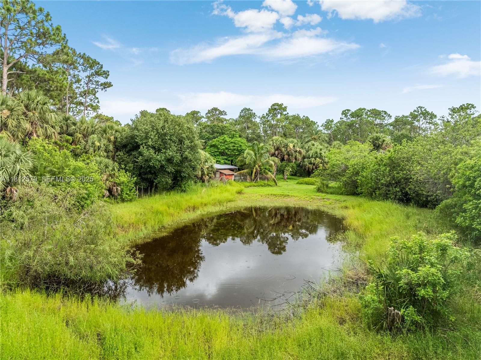 7900 Southwest Springhaven Avenue Indiantown, FL 34956 - Photo 26 of 38 a view of a lake with a yard