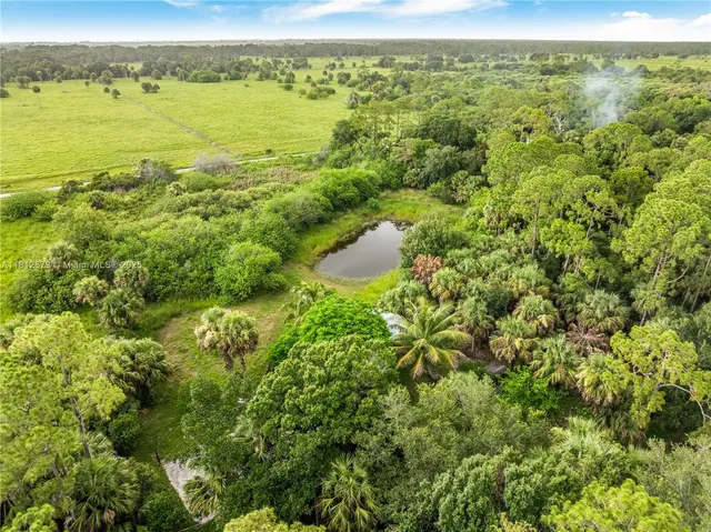 a view of a green field with an ocean