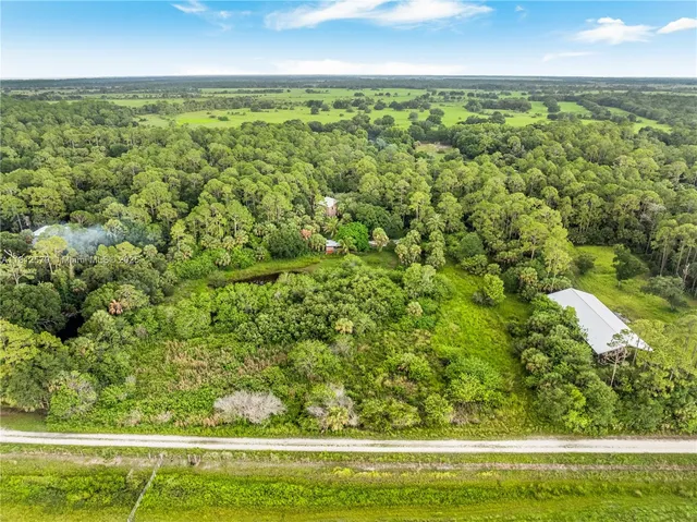 a view of a garden with an outdoor space
