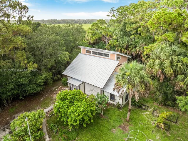 a view of a garden with large trees