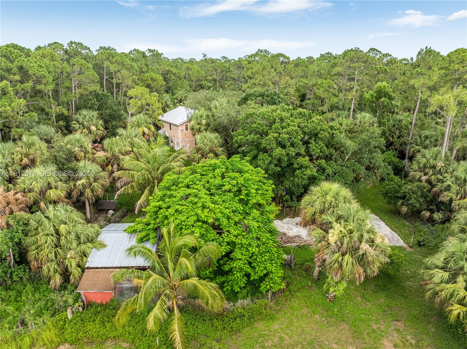 7900 Southwest Springhaven Avenue Indiantown, FL 34956 - Photo 35 of 38 a view of a big yard with plants and large trees