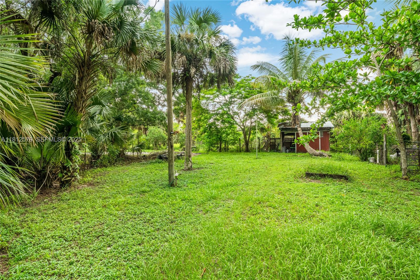 7900 Southwest Springhaven Avenue Indiantown, FL 34956 - Photo 5 of 38 a view of a yard with a tree