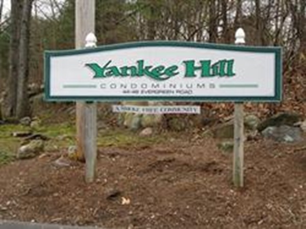 46 Evergreen Road, Unit 206 Northampton, MA 01053 - Photo 2 of 11 Gallery Image 2