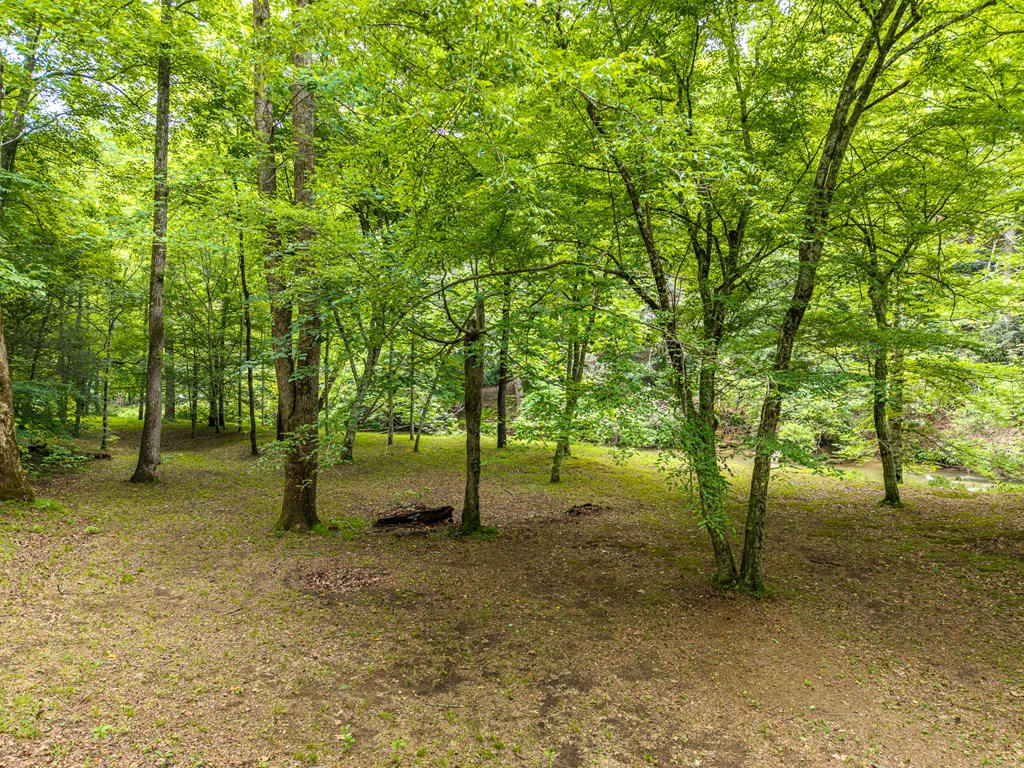 1774 Hicks Ford Road Ellijay, GA 30540 - Photo 7 of 32