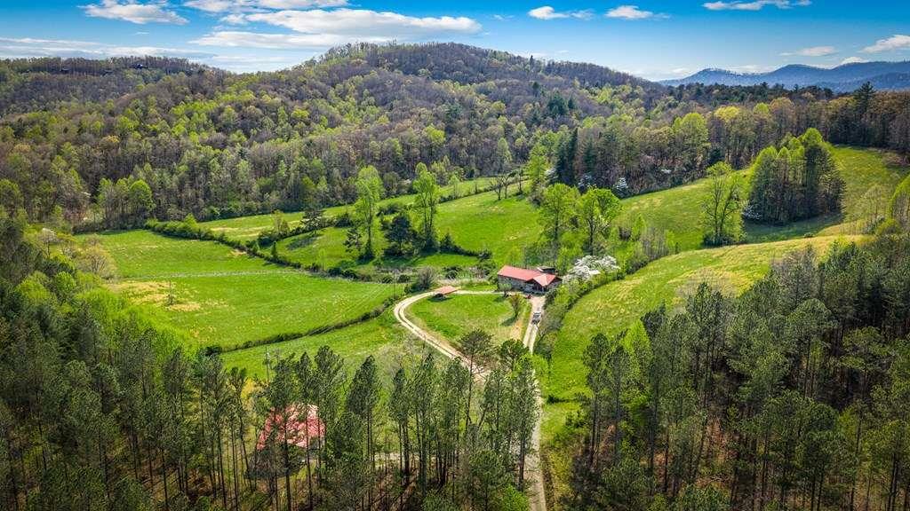 384 Maxwell Road Blue Ridge, GA 30513 - Photo 53 of 68 an aerial view of a residential houses with outdoor space and trees
