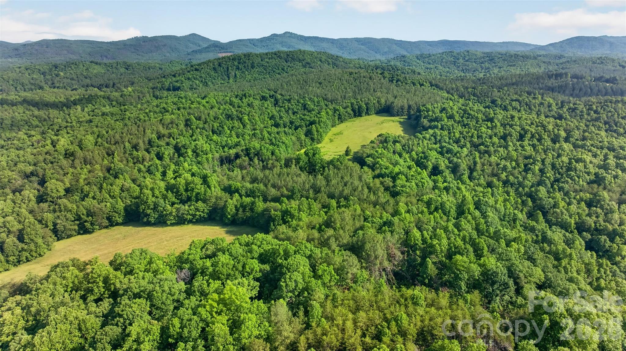 485 Frog Creek Road Union Mills, NC 28167 - Photo 7 of 44