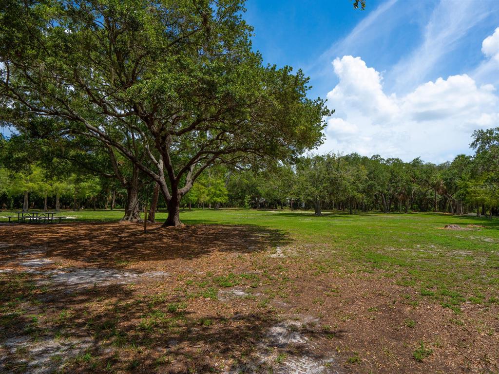 4805 Rilma Avenue, Unit 107 Sarasota, FL 34234 - Photo 40 of 42 a view of outdoor space with green field and trees all around