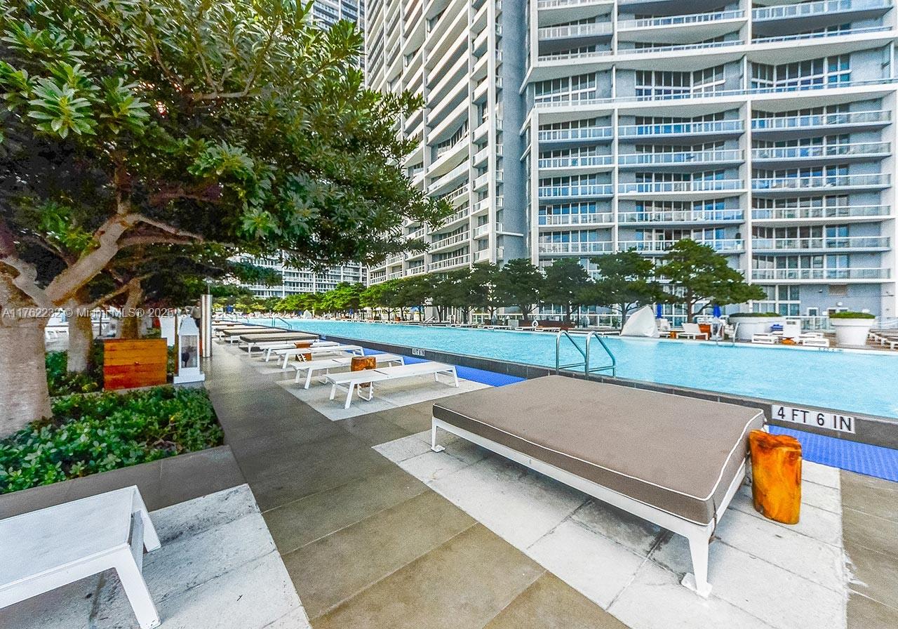 495 Brickell Avenue, Unit 4907 Miami, FL 33131 - Photo 59 of 65 a view of swimming pool with outdoor seating and plants