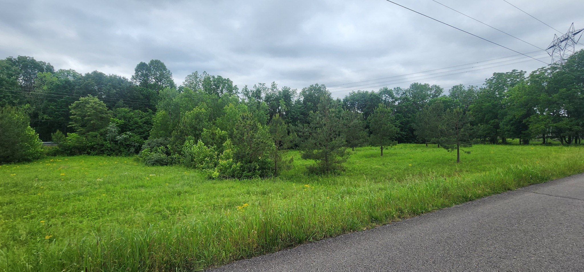 3147 Old New Cut Road Springfield, TN 37172 - Photo 11 of 26 a view of a grassy field with trees in the background