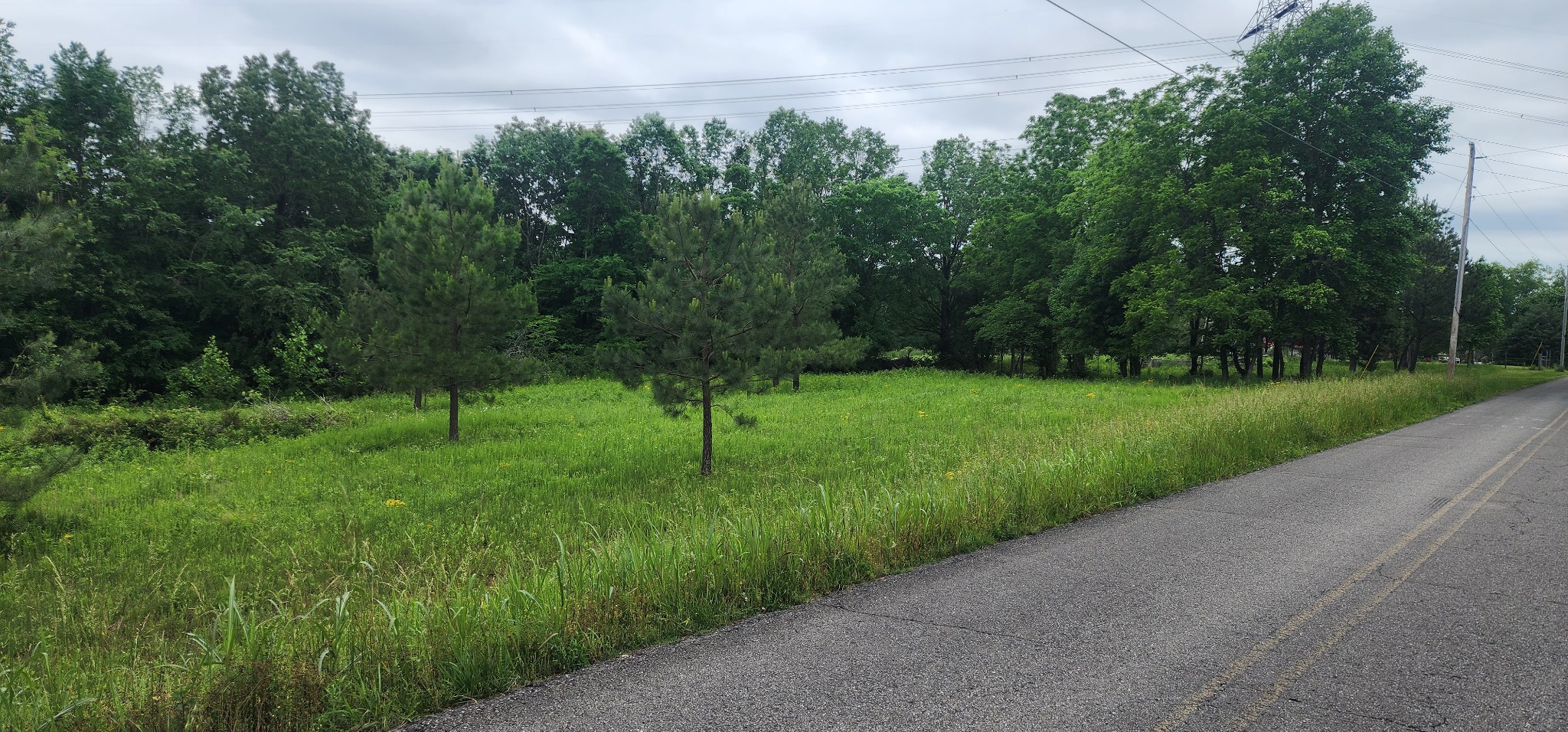 3147 Old New Cut Road Springfield, TN 37172 - Photo 12 of 26 a view of a park with a tree