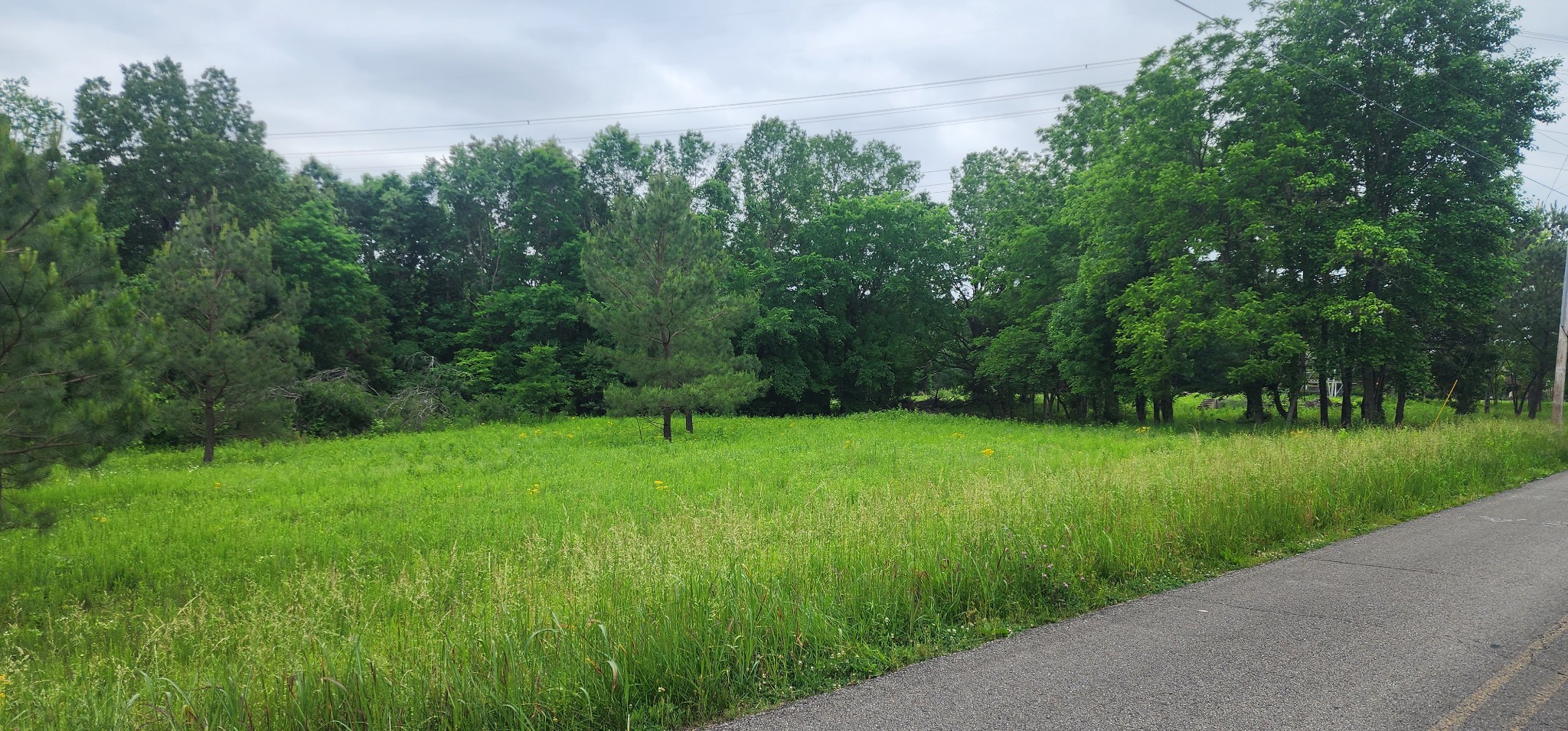 3147 Old New Cut Road Springfield, TN 37172 - Photo 13 of 26 a view of a grassy field with trees