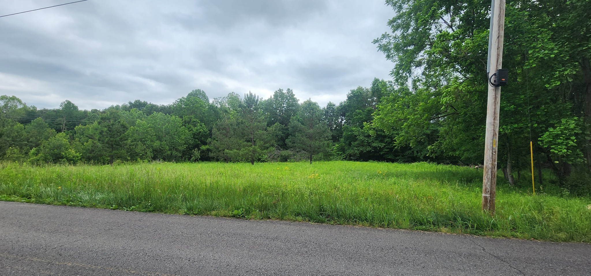 3147 Old New Cut Road Springfield, TN 37172 - Photo 14 of 26 a view of a big yard with potted plants and large trees