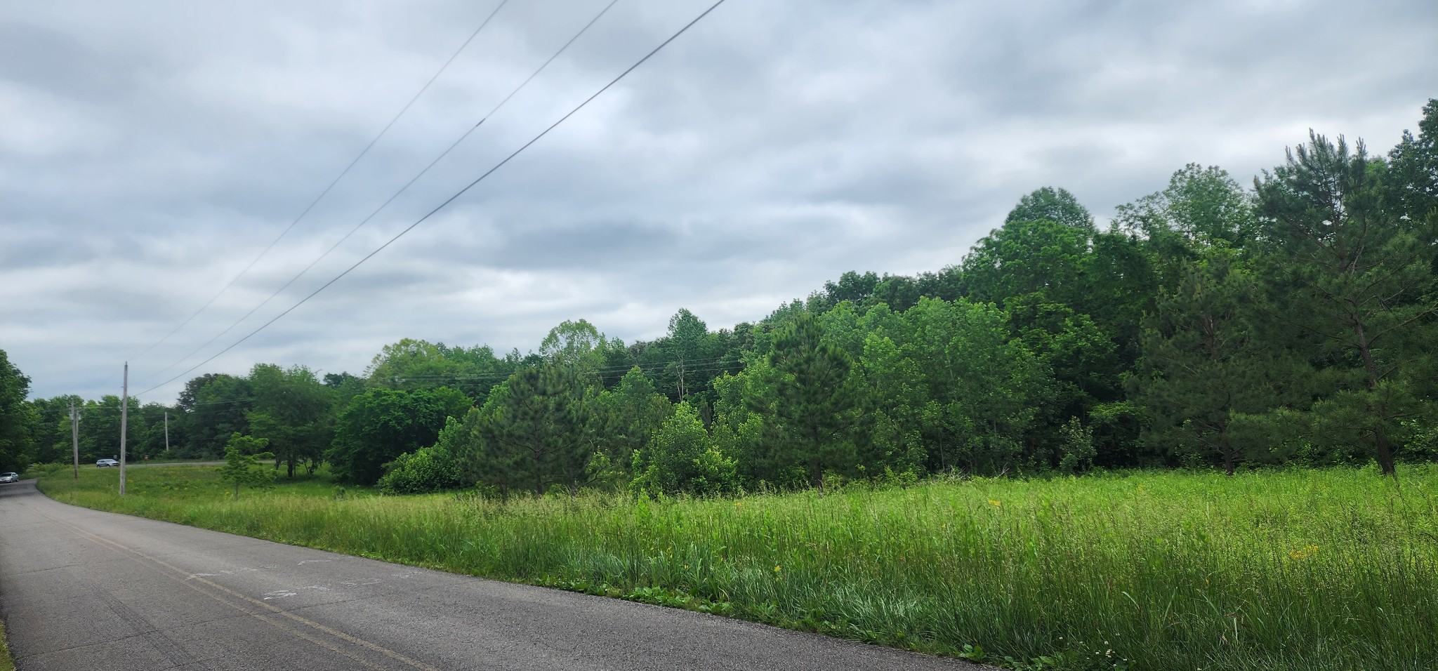 3147 Old New Cut Road Springfield, TN 37172 - Photo 17 of 26 a backyard of a house with lots of green space