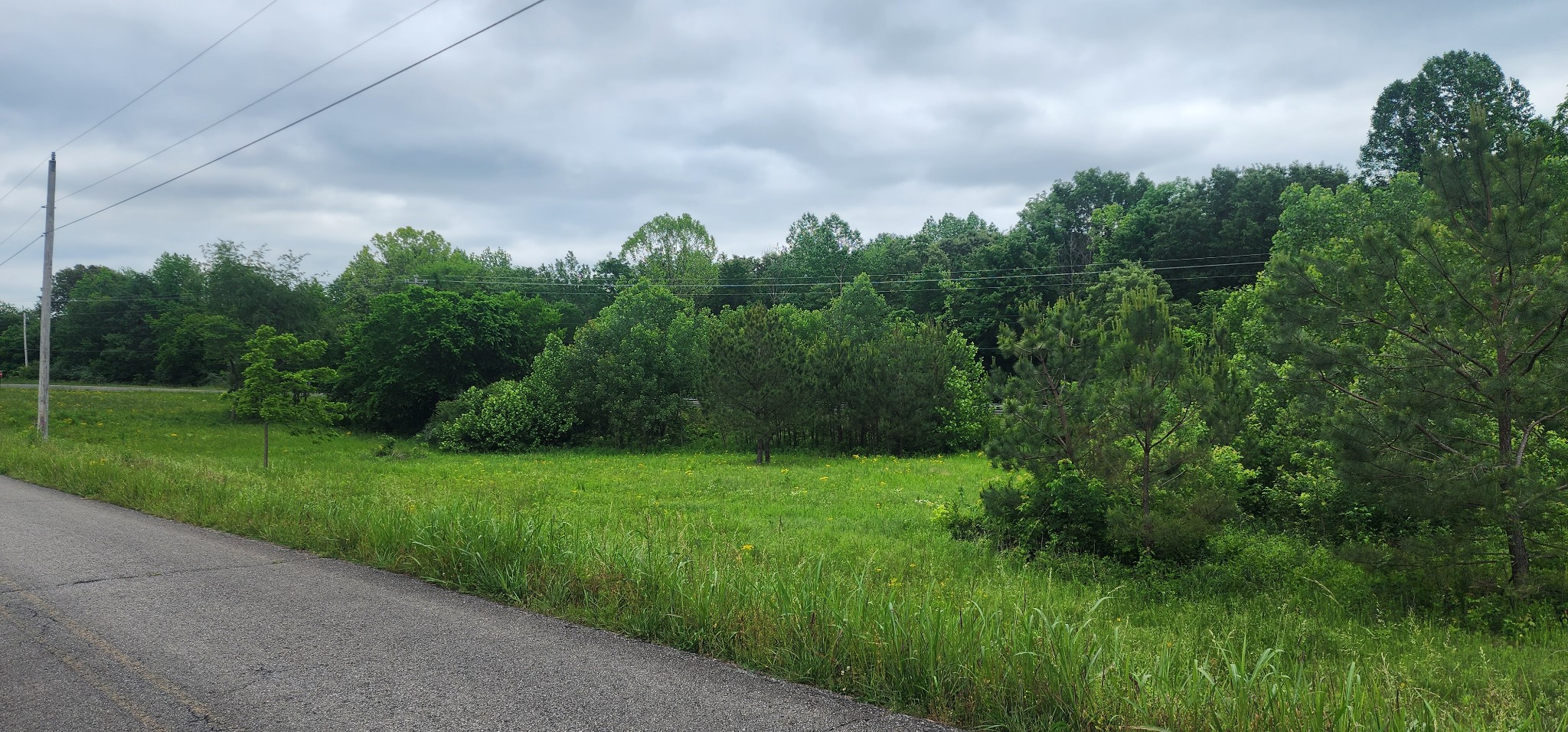 3147 Old New Cut Road Springfield, TN 37172 - Photo 18 of 26 a view of a city street lush green space