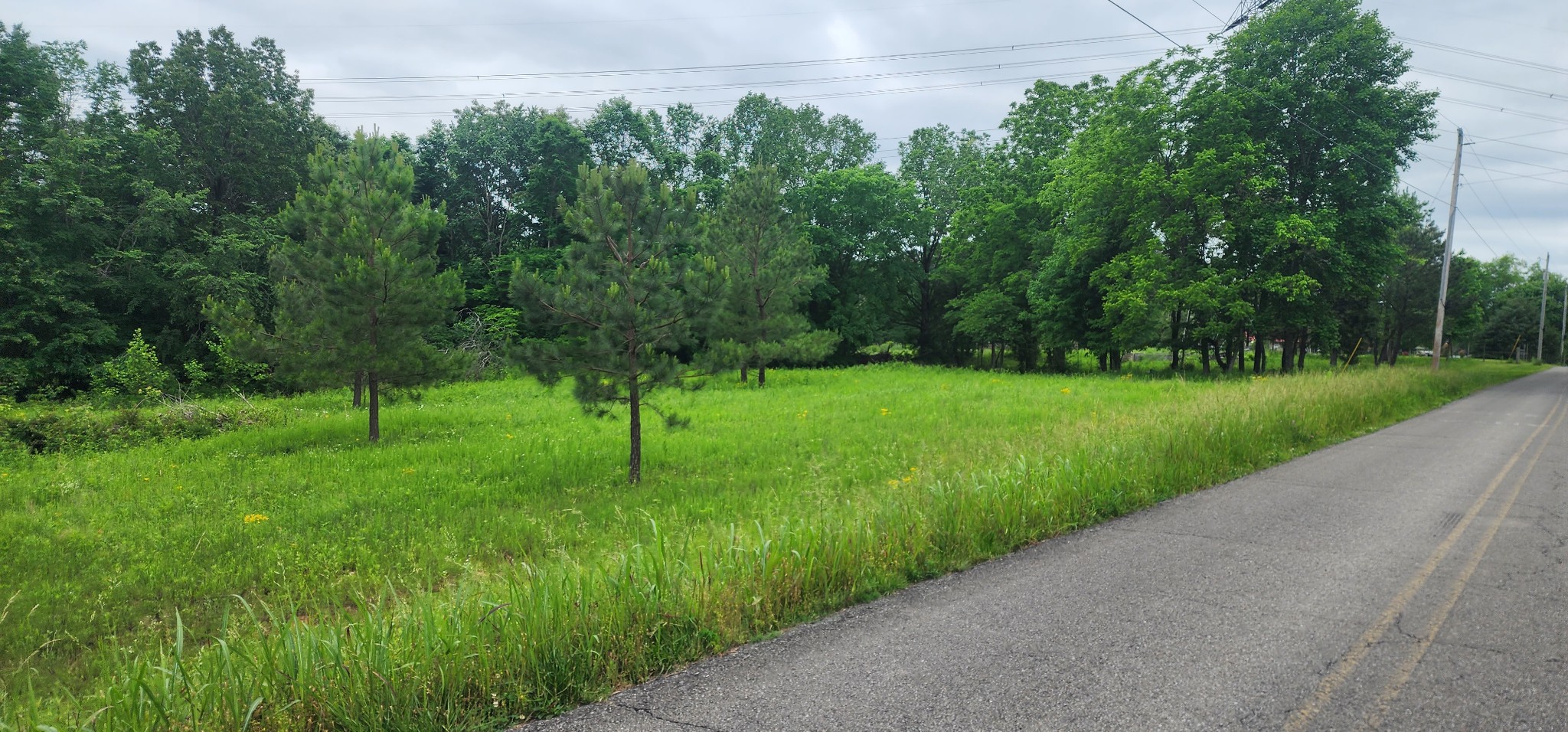 3147 Old New Cut Road Springfield, TN 37172 - Photo 20 of 26 a view of a park with a tree in the background