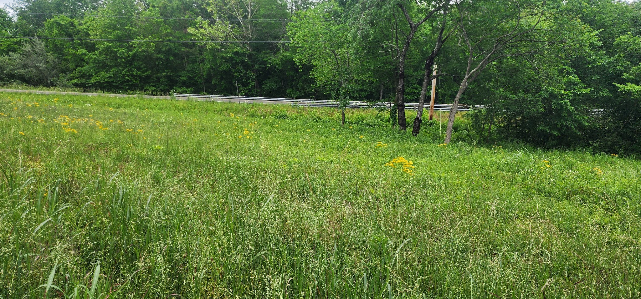 3147 Old New Cut Road Springfield, TN 37172 - Photo 22 of 26 a backyard of a house with lots of green space