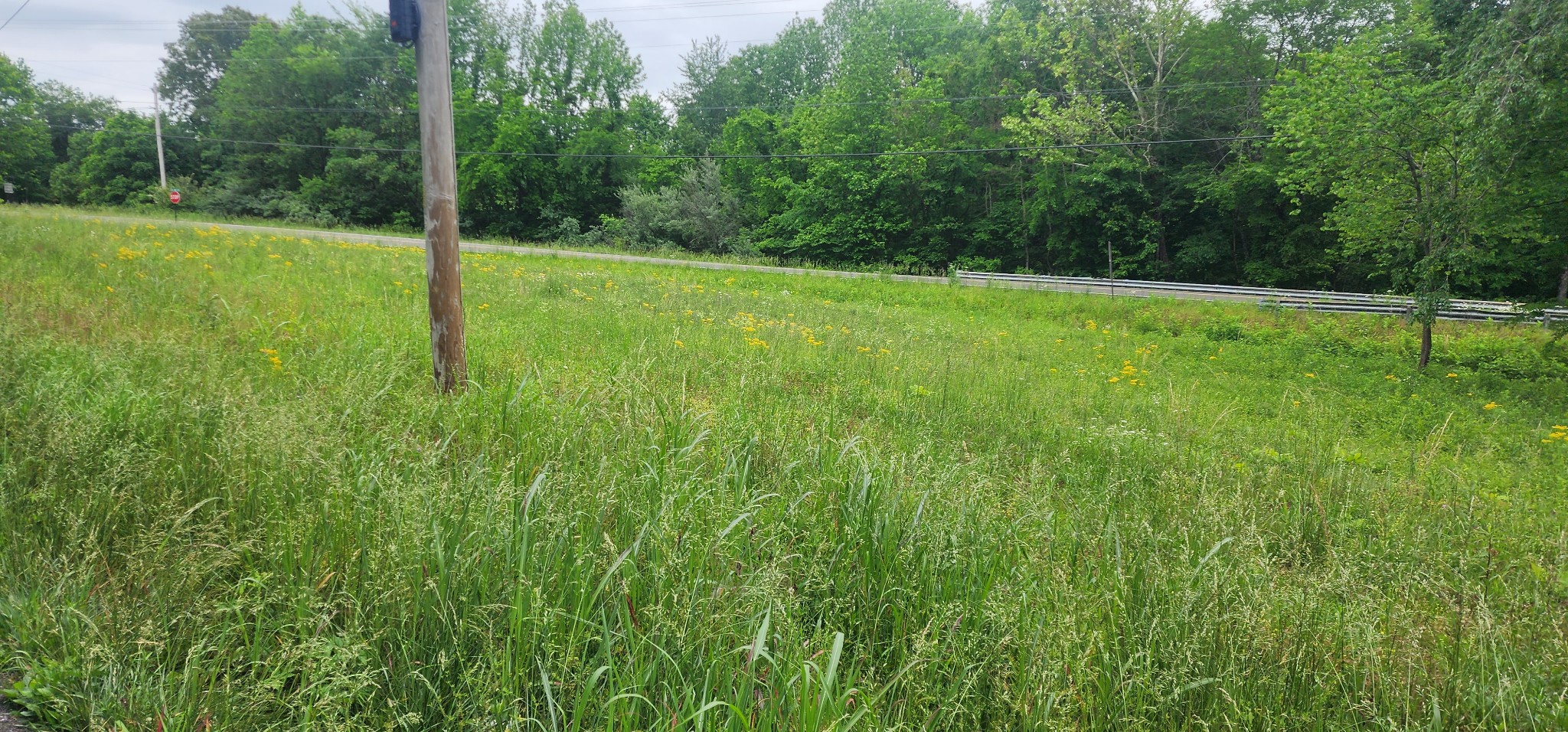 3147 Old New Cut Road Springfield, TN 37172 - Photo 23 of 26 a view of a lush green space
