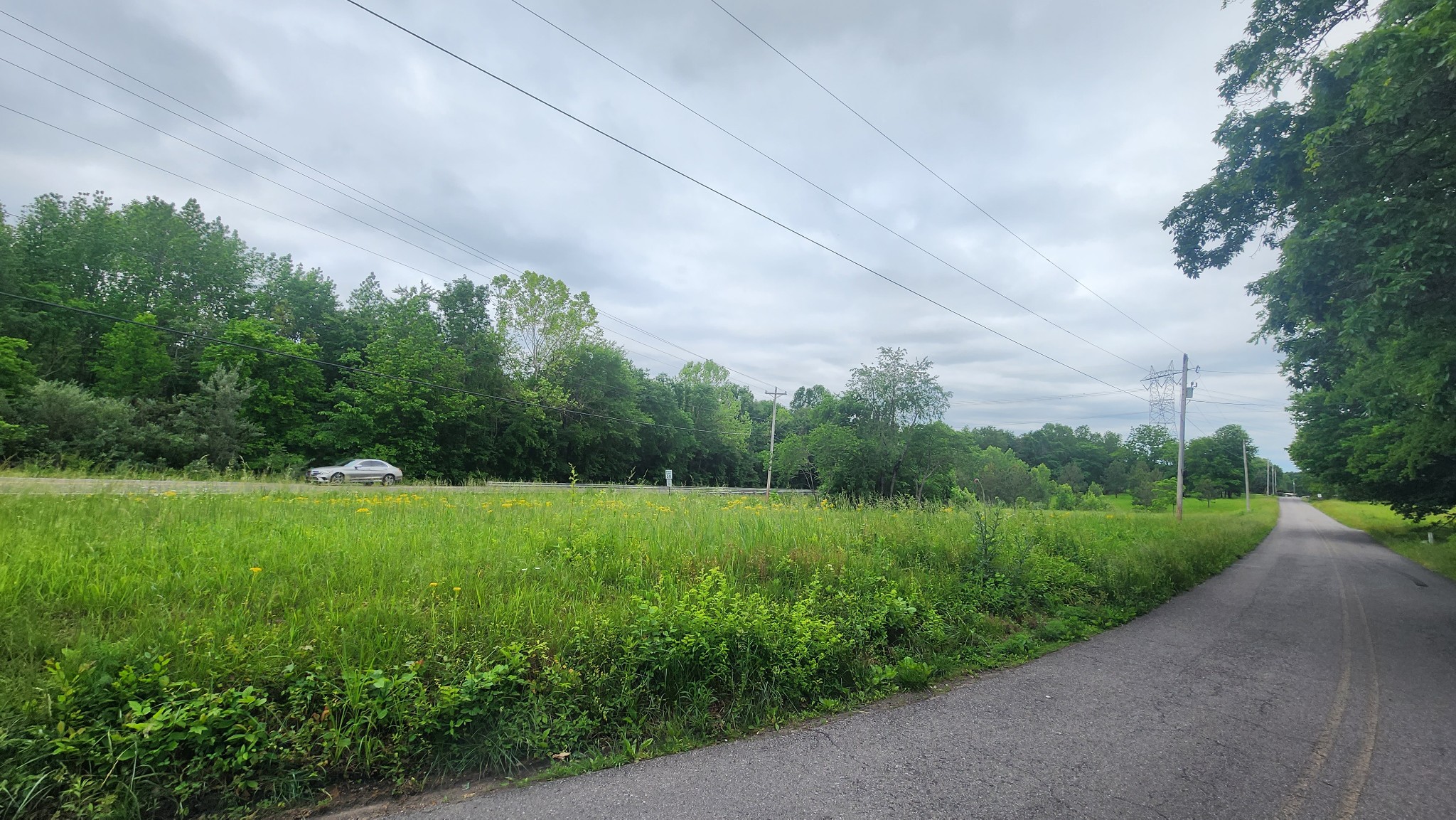 3147 Old New Cut Road Springfield, TN 37172 - Photo 3 of 26 a view of a field of grass and trees