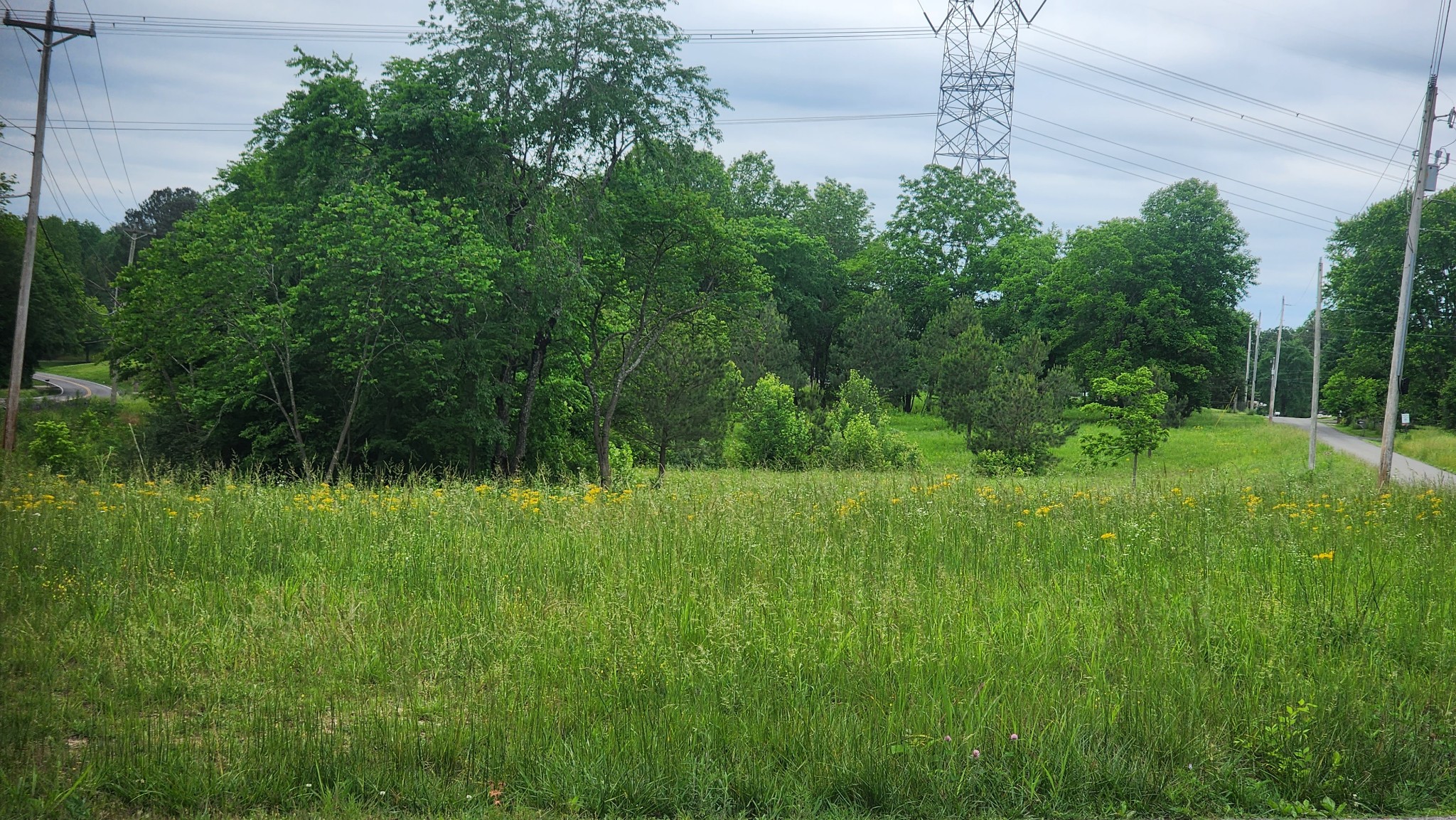 3147 Old New Cut Road Springfield, TN 37172 - Photo 4 of 26 a view of a lush green space