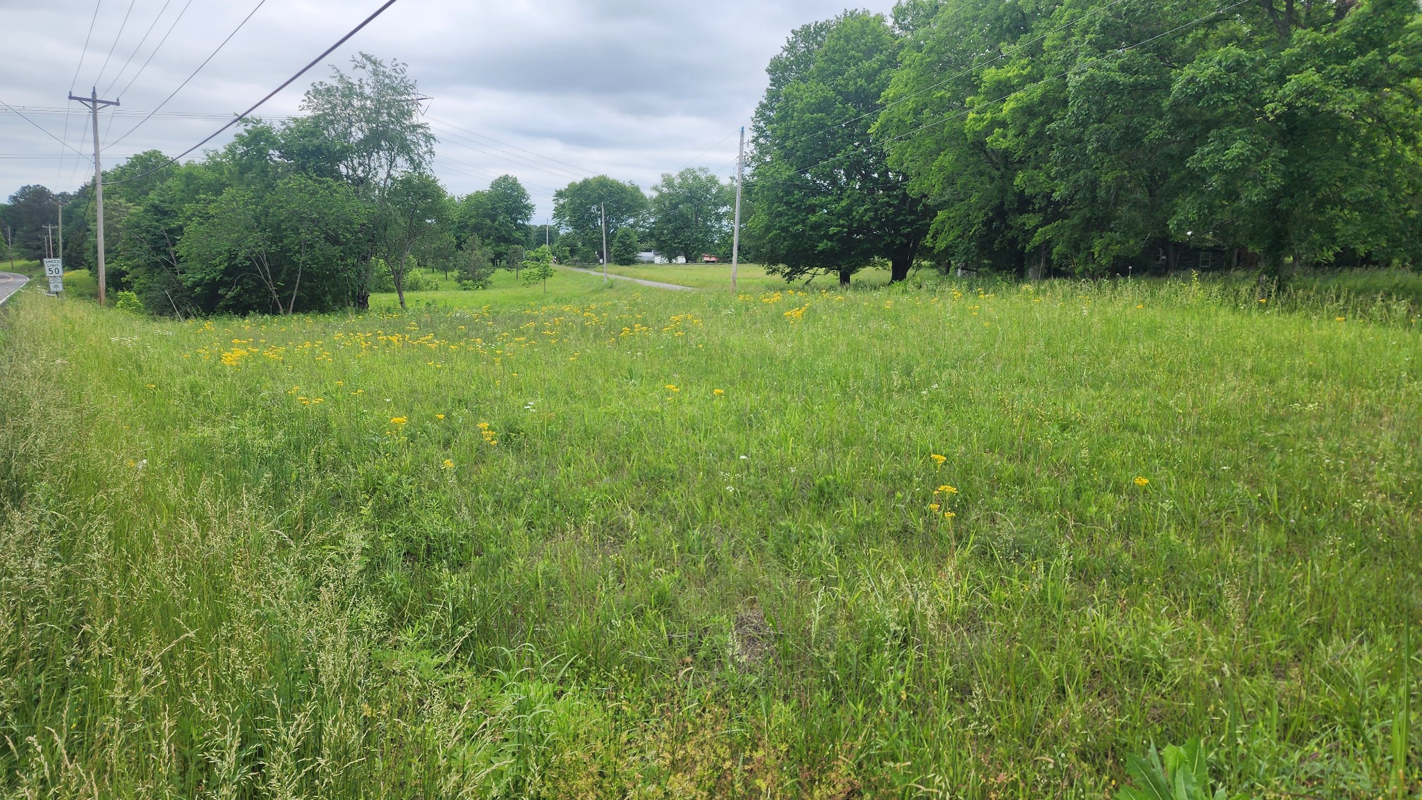3147 Old New Cut Road Springfield, TN 37172 - Photo 5 of 26 a view of a lush green space