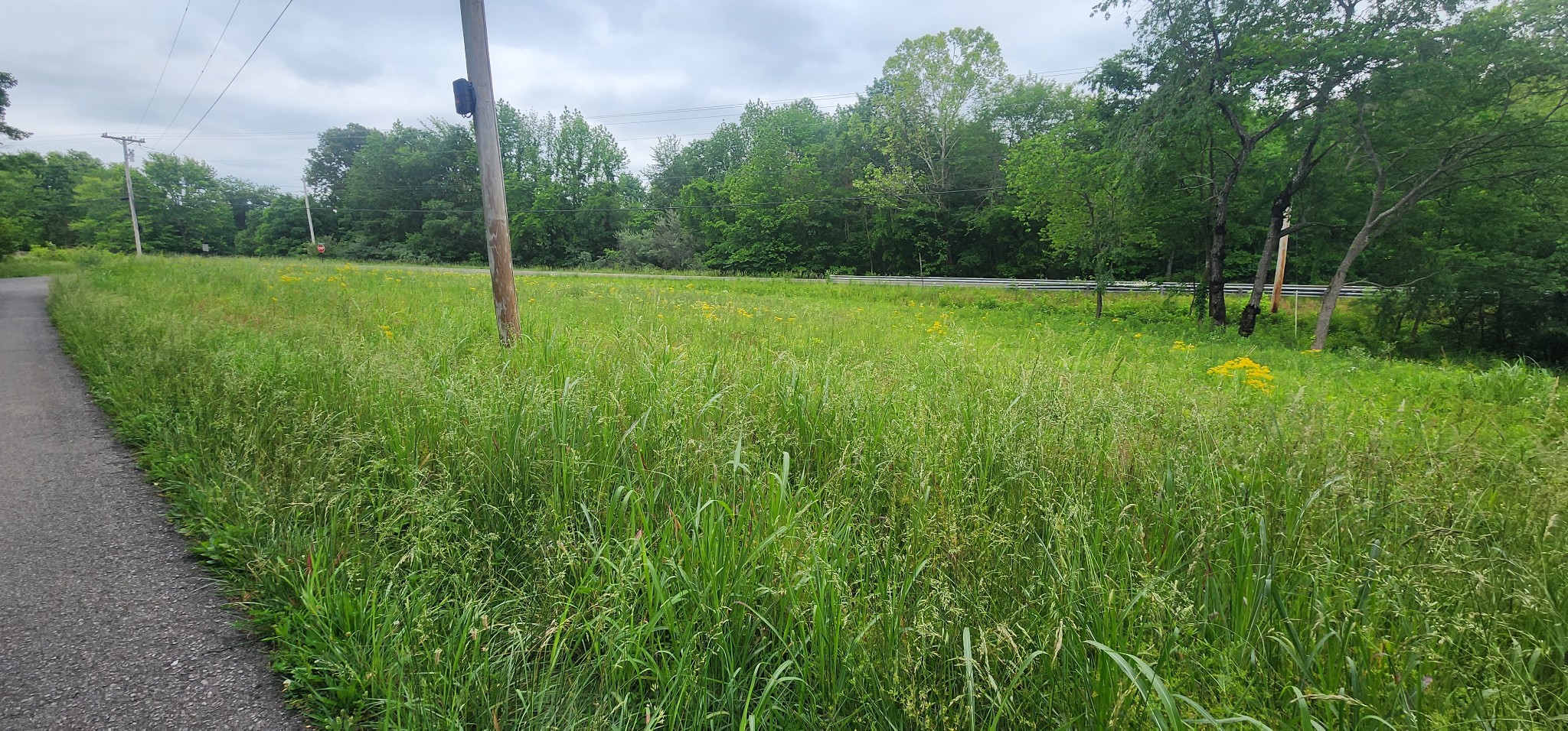 3147 Old New Cut Road Springfield, TN 37172 - Photo 8 of 26 a view of a field with a sink
